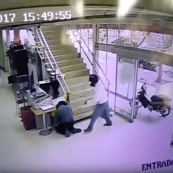 CAMARA SPECTRA IV SE STAINLESS STEEL PELCO